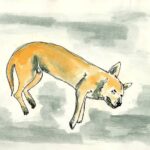 Podcast escrito (o guion) 1 («Creative Commons», 27/08/2025)